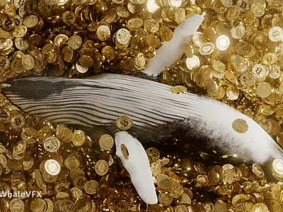 Bitcoin Whale business finance rich