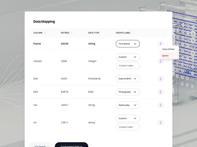 Data Mapping Widget big data clean ui data mapping saas ui design