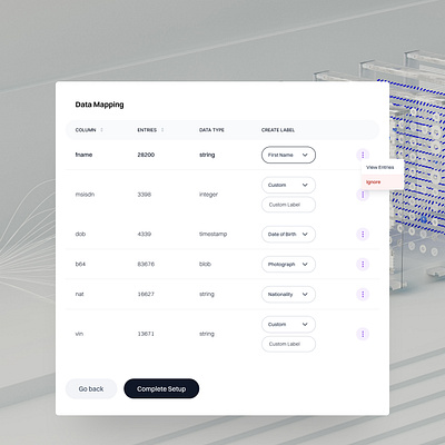 Data Mapping Widget big data clean ui data mapping saas ui design