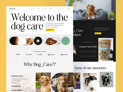 Dog care website design dog ui web design