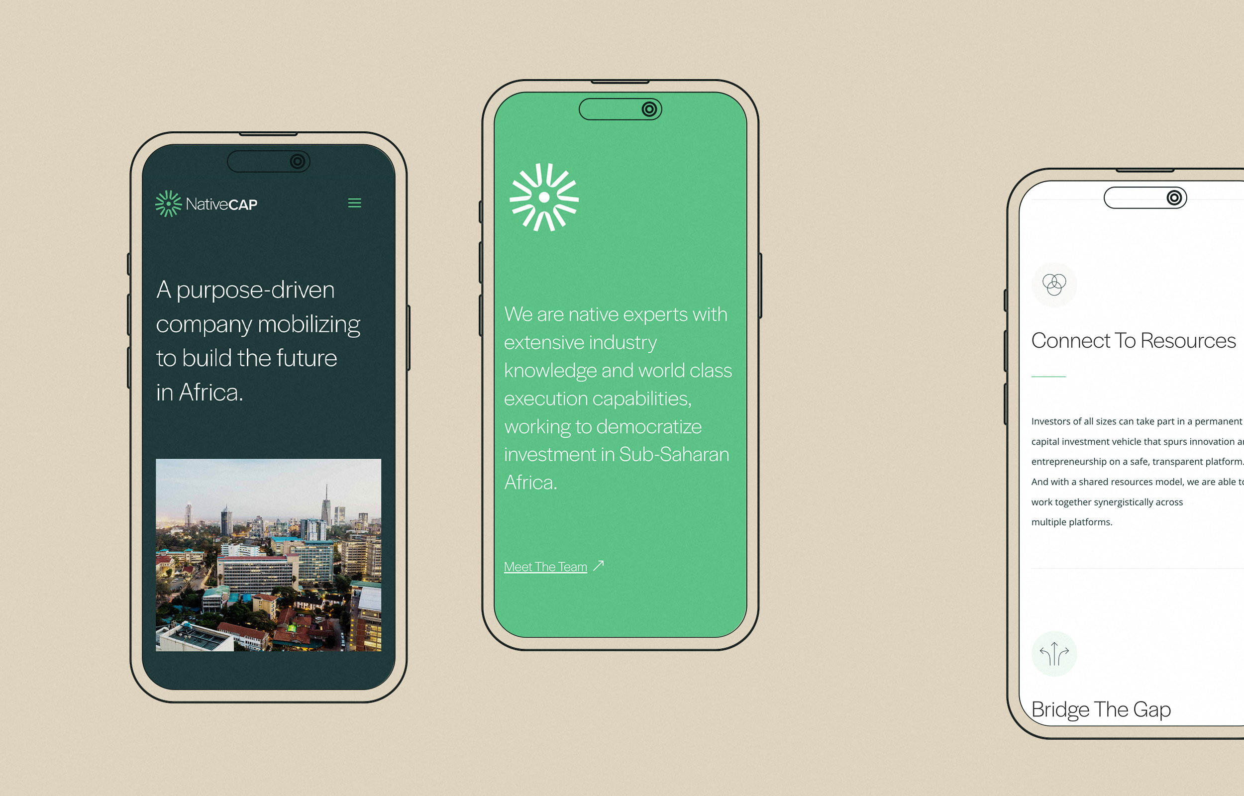 NativeCap | Web Development africa brand branding capital design development estate invest investment layout logo minimal mobile mock mockup real responsive simple web website