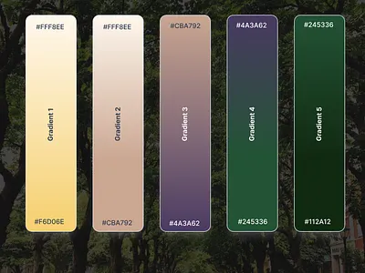 Calm Color Palette & Gradients