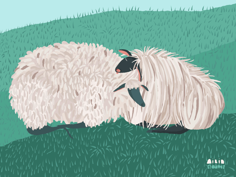 Sleepy Huddle airinkloavet animation character colors countryside design gif green happy illustration inspiration irinalopik lazy motion graphics sheep sleepy slowlife summer village