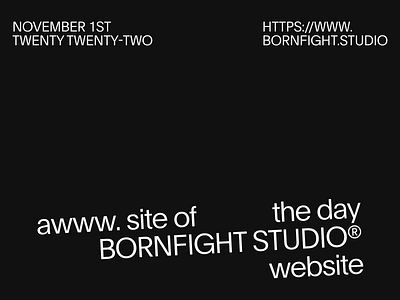 BORNFIGHT STUDIO® Site of the day branding design ui website