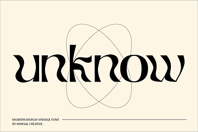 Unknow Font display font editorial retro vintage