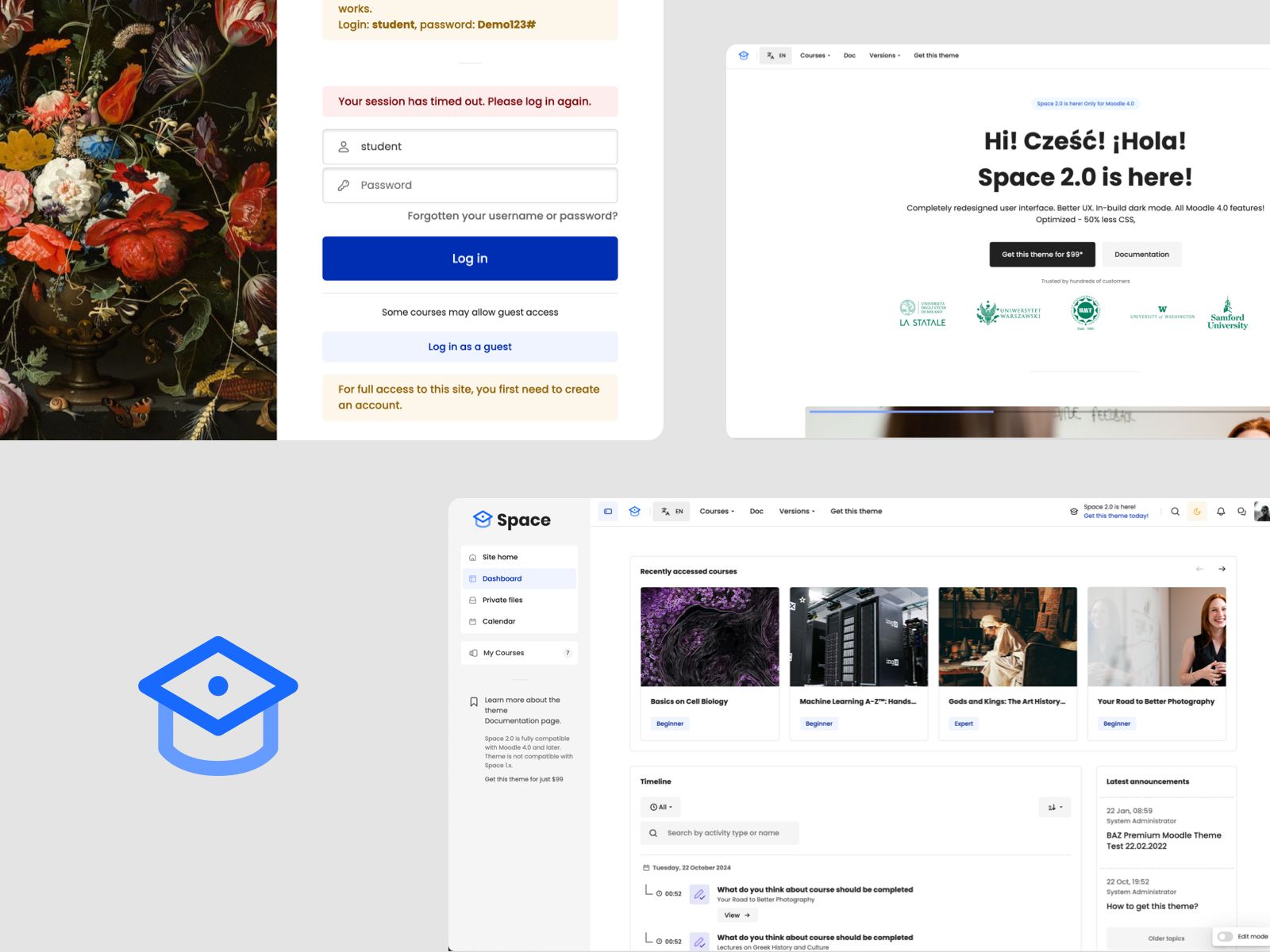 Example of Moodle/Iomad Theme Design & Development
