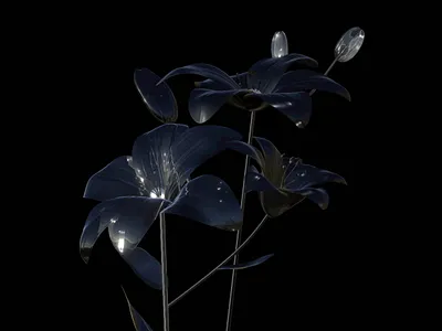 lily 3d design original