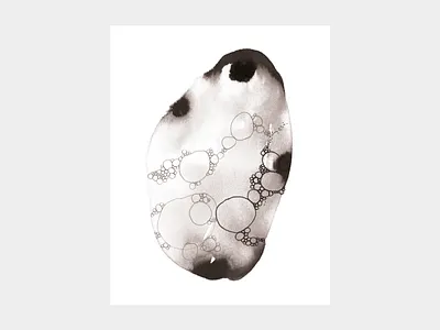 Specimen X algae black and white circle diatom