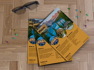 Trip flyer/ Flyer design/ Flyer Template/ Flyer designer creative design designer flyer flyer design flyer designer