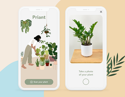 Priant aesthetic app design illustration minimal plant ui ux