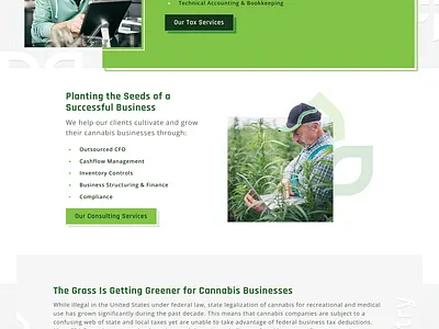 Cannabis CPA - Web Design accounting bookkeeping cannabis certified public accounting consulting cpa seo tax services taxes ui ux web design website