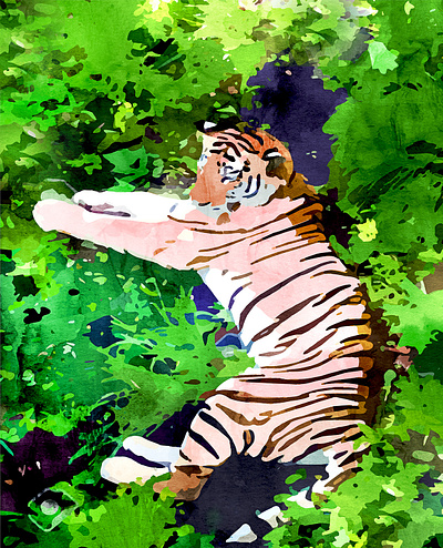 Blush Tiger tropical