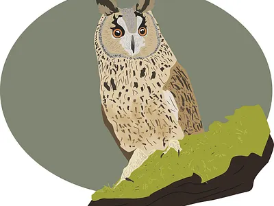 Asio otus illustration vector