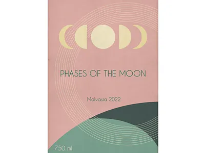 Wine label branding design flat graphic design illustration label logo wine