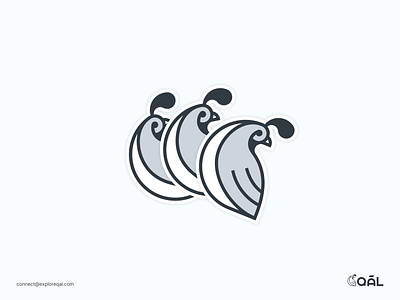 QĀL Branding adventure adventure logo bird bird logo black branding clean creative explore graphic design identity illustration logo minimalist quail simple sticker stickers white