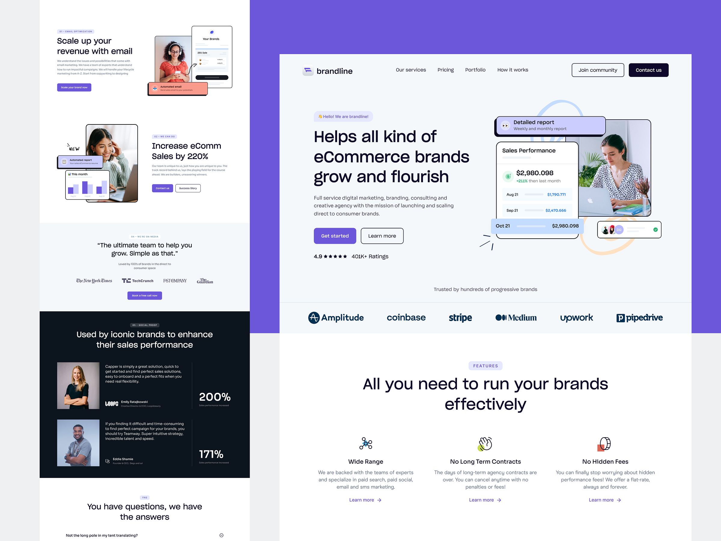 Brandline – eCommerce Growth Expert by Firman JP for Vektora on Dribbble