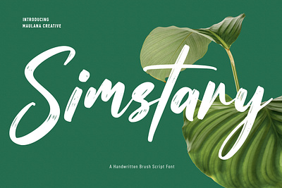 Simstary Brush Script Font 3d animation branding graphic design logo motion graphics style ui