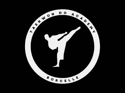 Taekwondo Academy animation attractivelogo bestlogo branding design graphic design illustration logo vector