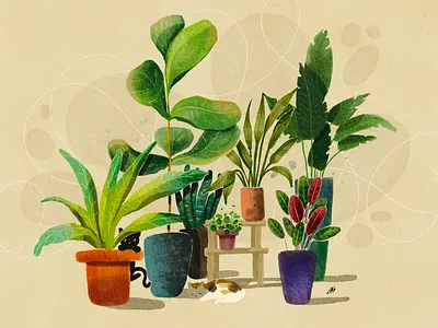 Plant collection cats green greenery illustration living nature plants procreate watercolour