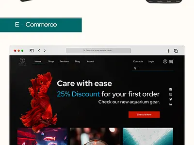 Portfolio branding design graphic design typography ui ux
