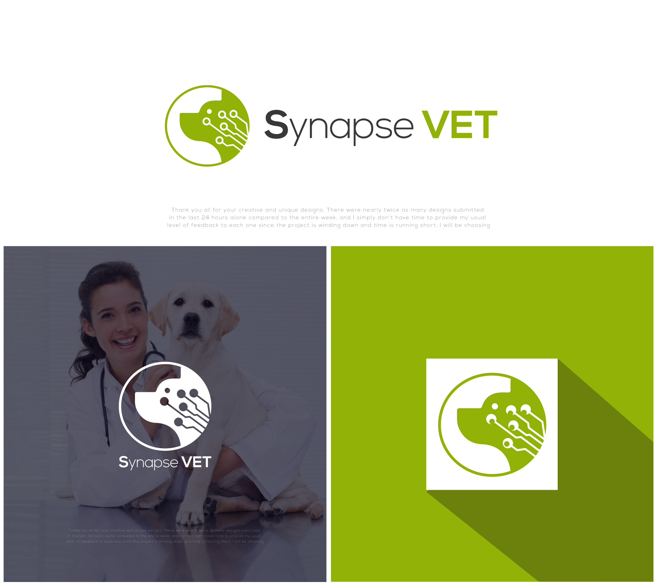 Example of Custom Logo Design For Brands 