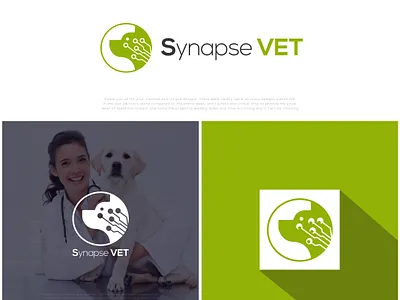 Synapse VET 3d logo branding design green health icon illustration logo ui vector