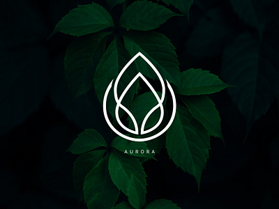 Aurora abstract app branding color creative dailyui design graphic design green icon illustration logo minimal nature ui ui design ux vector world