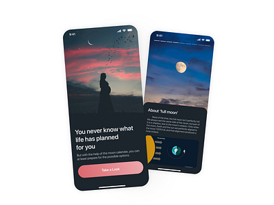 Moon Tracker calender clean dark design home home screen information minimal mobile mobile design moon sky splash story tracker ui user interface