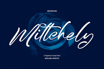 Mittchely Script Font animation branding design font fonts graphic design illustration logo nostalgic signature ui