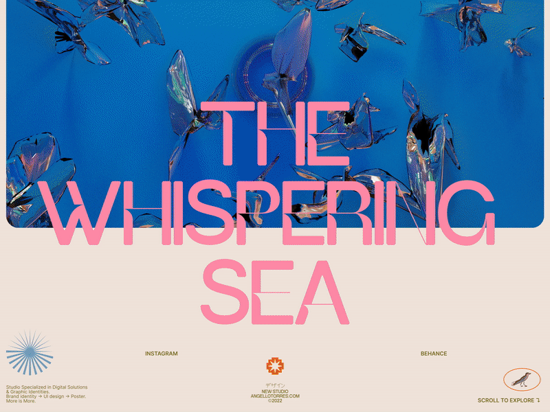 Studio Angello Torres design editorial graphic layout portfolio ui web