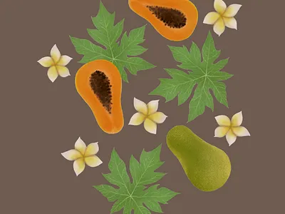 tropical print design illustration typography