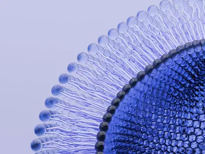 Medical 3D animation 3d 3d illustration animation healthcare liposome medical render science