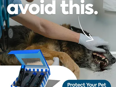 Static Ads - ReadyRESCUE lifesaving tool for pets ads creative graphic design oliver puente pet social media social media ads creative static ads