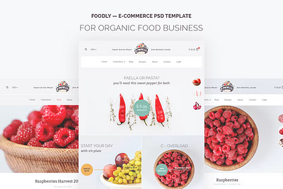 Foodly Shopify design landing page product saas shopify ui ux