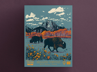 Grand Tetons National Park Poster buffalo grand tetons mountains national park