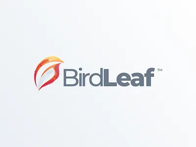 BirdLeaf Logo Design bird branding colorful design identity illustration leaf logo simple