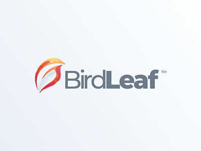 BirdLeaf Logo Design bird branding colorful design identity illustration leaf logo simple