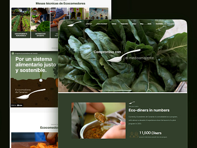 Ecocomedores design elementor pro wordpress