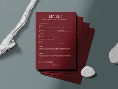 Corporate Identity branding design graphic design illustration logo typography ui ux vector