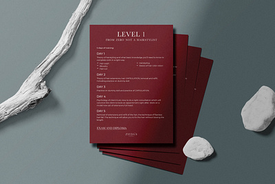 Corporate Identity branding design graphic design illustration logo typography ui ux vector