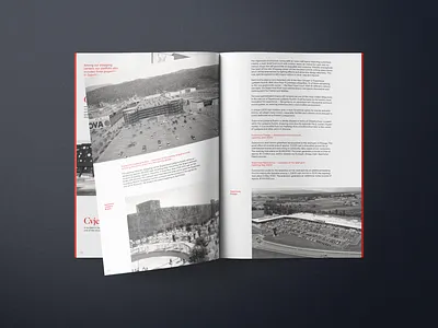 Supernova Financial Report financial report print