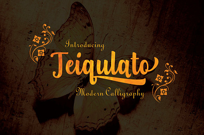 Teiqulato Modern Calligraphy branding calligraphy design handwritten illustration logo script typography