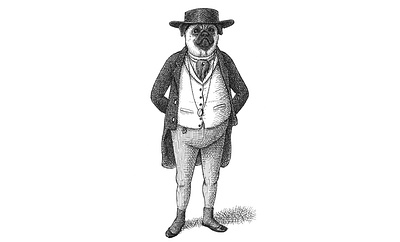 Mr. Pickwick as a Pug animals anthropomorphic art artist artwork dickens dog drawing hand drawn illustration ink pickwick pug victorian whimsical