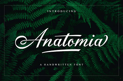 Anatomia Handwritten Font beautiful font branding calligraphy design elegant handwritten illustration invitation lettering logo luxury script signature font typography wedding fonts