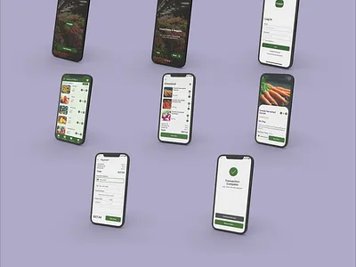 FREGGIES aesthetic design product design ui