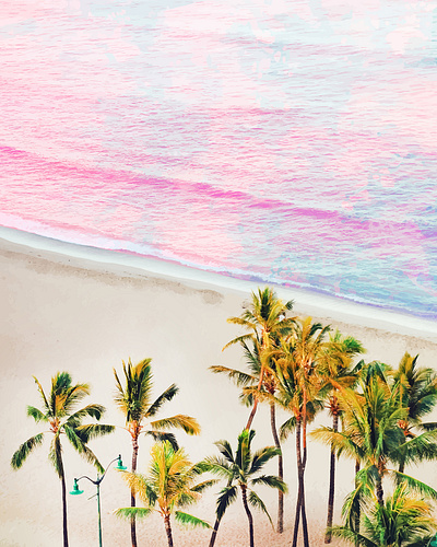 Pink Ocean | Dreamy Scenic Tropical Beach Travel | Blush Nature nature