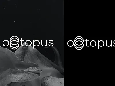 Octopus Wordmark Logo branding design fiverr graphic design illustration line art logo logo minimal logo modern logo octopus loo octopus wordmark logo ui wordmark wordmark logo