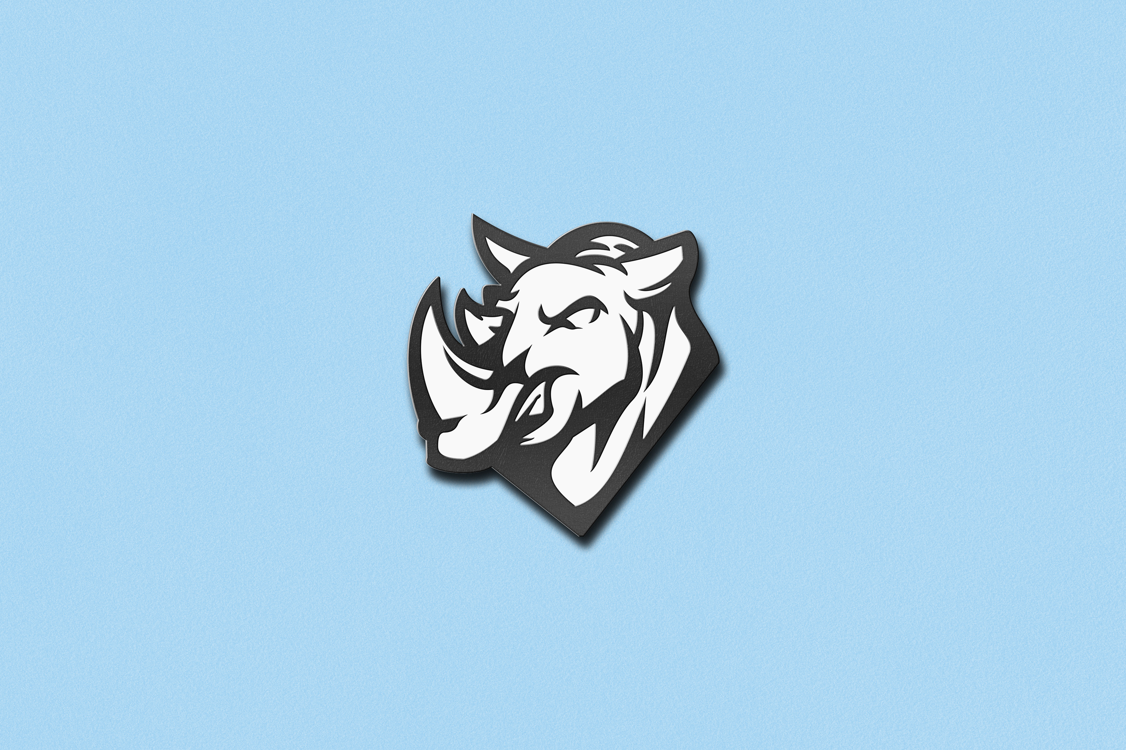 Example of Mascot Logo