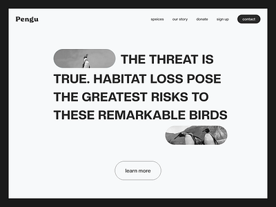 PENGU animals climate change minimal penguin penguins save the world ui website