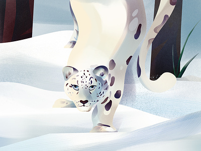 Snow Leopard animal digital folioart illustration jia yi liu snow winter